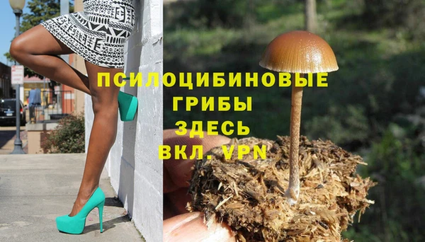 молекула духа Алексеевка