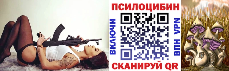 Псилоцибиновые грибы Psilocybe  Тосно 