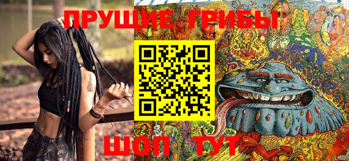 Тосно  Галлюциногенные грибы мухоморы  Вход с VPN 