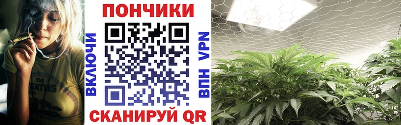как найти   kraken как зайти  Бошки марихуана OG Kush  Тосно 
